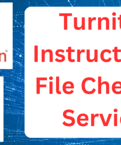 Turnitin Instructor AI File Checker Service